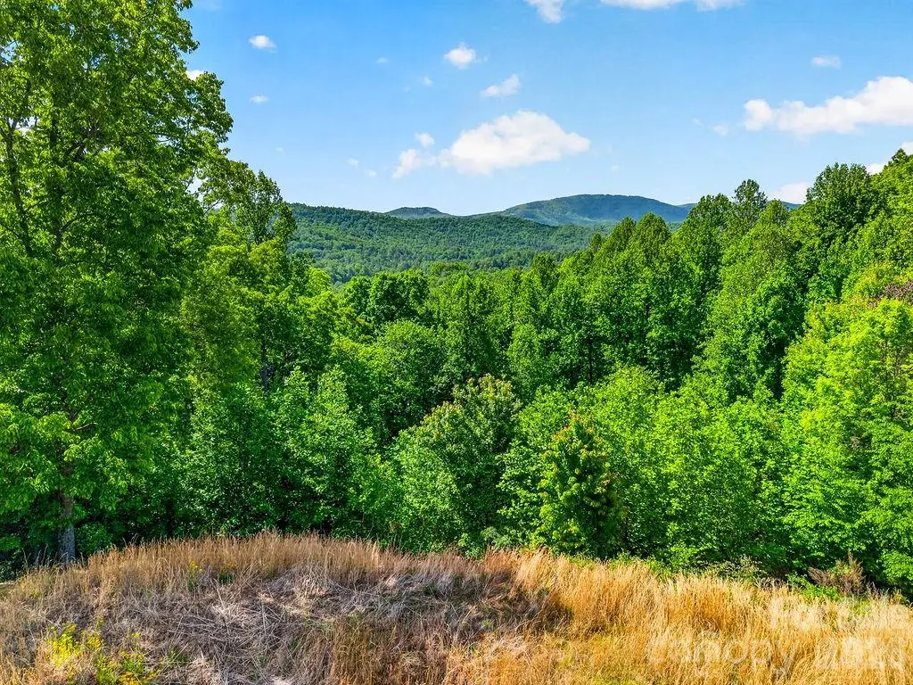 51 Falls Lane, Hendersonville, NC 28739 - #1