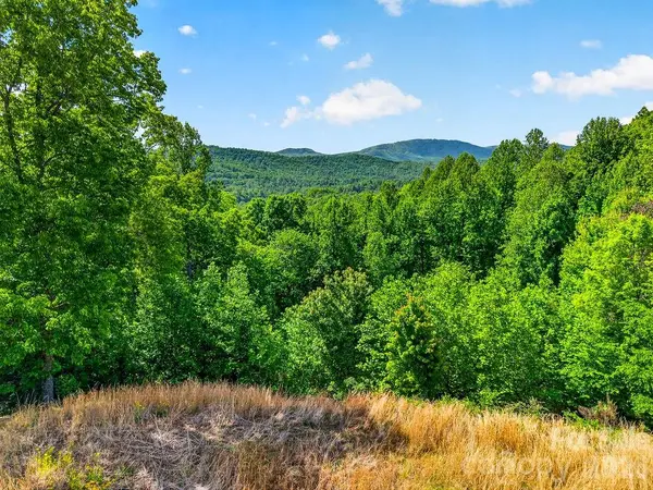 51 Falls Lane, Hendersonville, NC 28739
