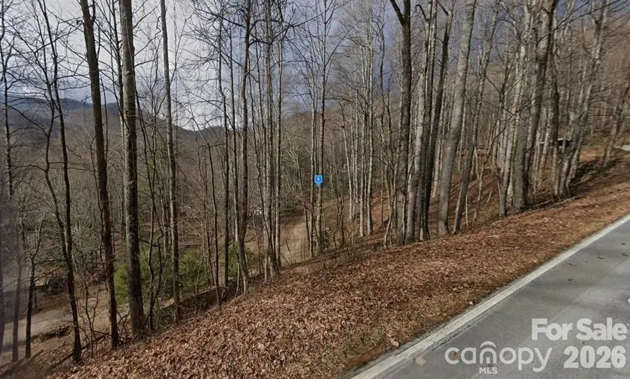 4300 W Old Murphy Road, Franklin, NC 28734 - #2