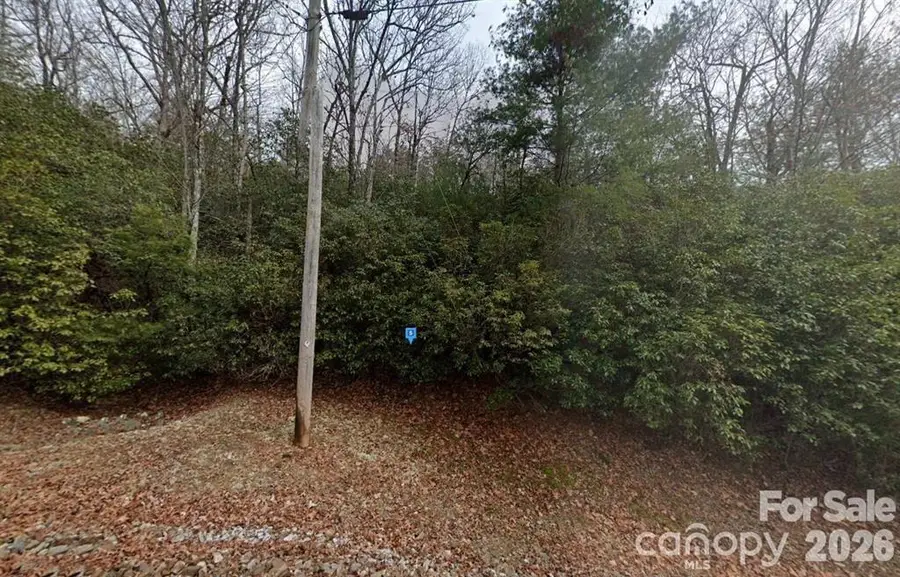 155 Laurel Mountain Road, Franklin, NC 28734 - #2