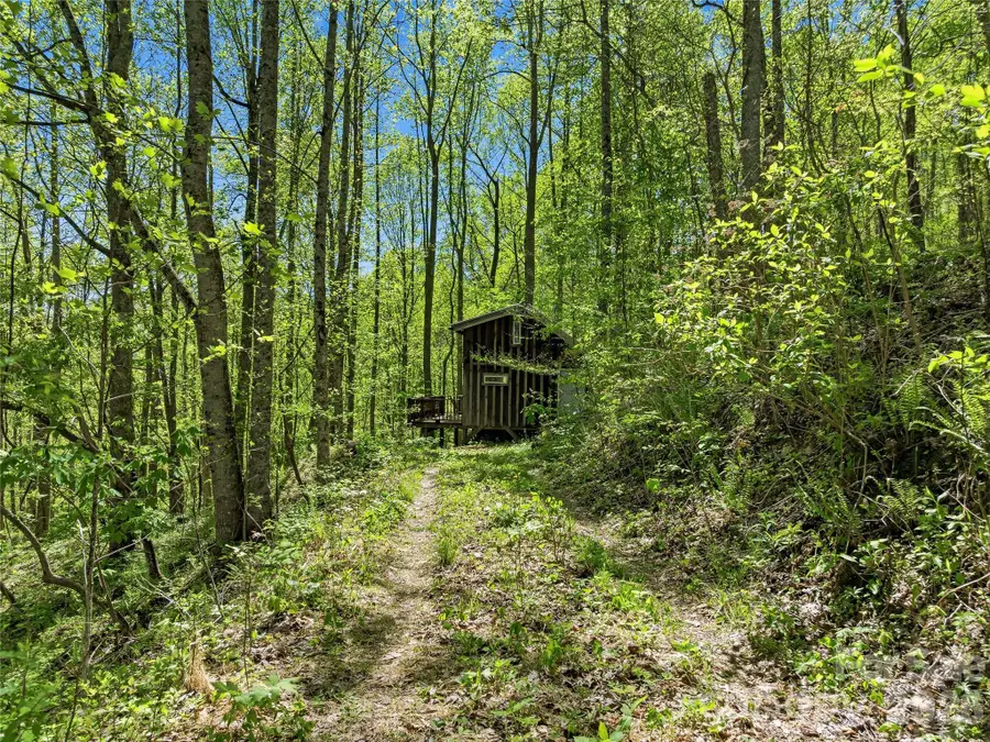 3167 Lumptown Road, Marshall, NC 28753 - #3