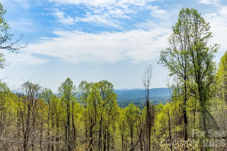 172 Sunny Ridge Road, Hendersonville, NC 28739 - #2