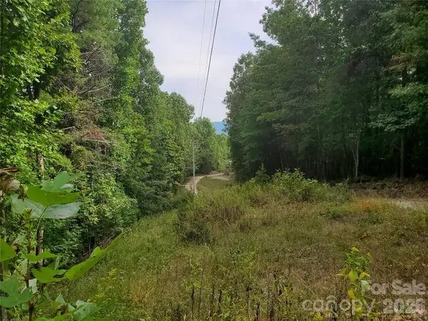 3024 Pearson Mountain Road, Boomer, NC 28606