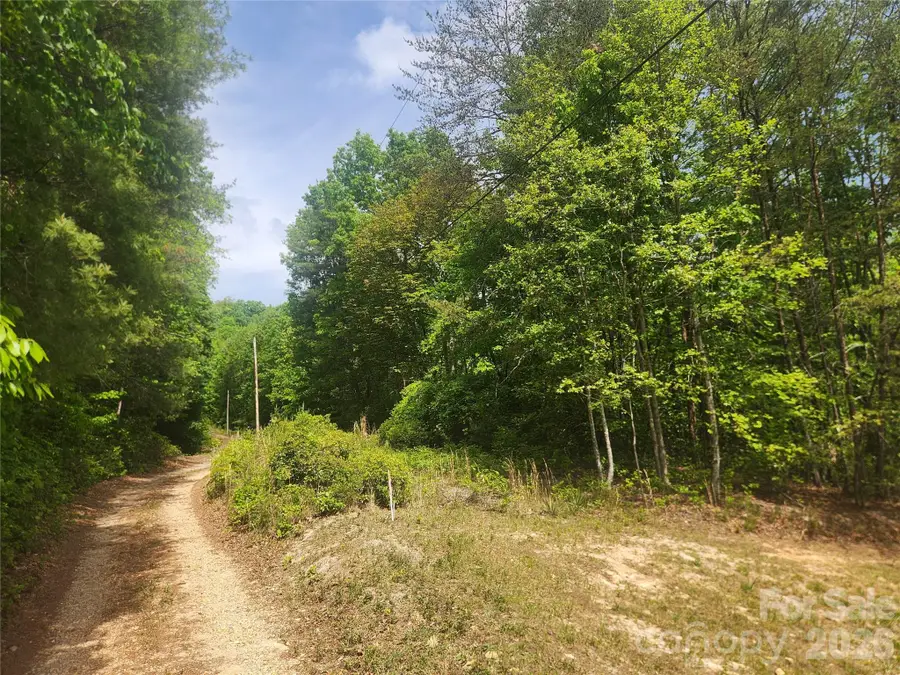 3024 Pearson Mountain Road, Boomer, NC 28606 - #2
