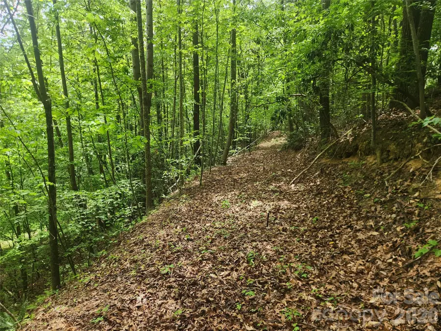 3024 Pearson Mountain Road, Boomer, NC 28606 - #3