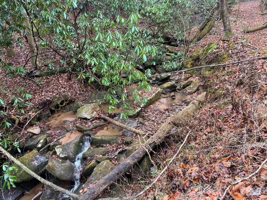 0 Russell Gap Road, Boomer, NC 28654 - #2