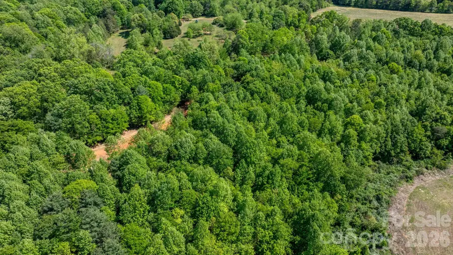 173 Long Leaf Pine Drive #Lot 2, Hiddenite, NC 28636 - #3