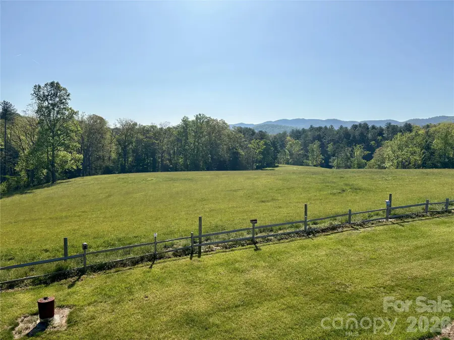 377 Upper Grassy Branch Road, Asheville, NC 28805 - #2