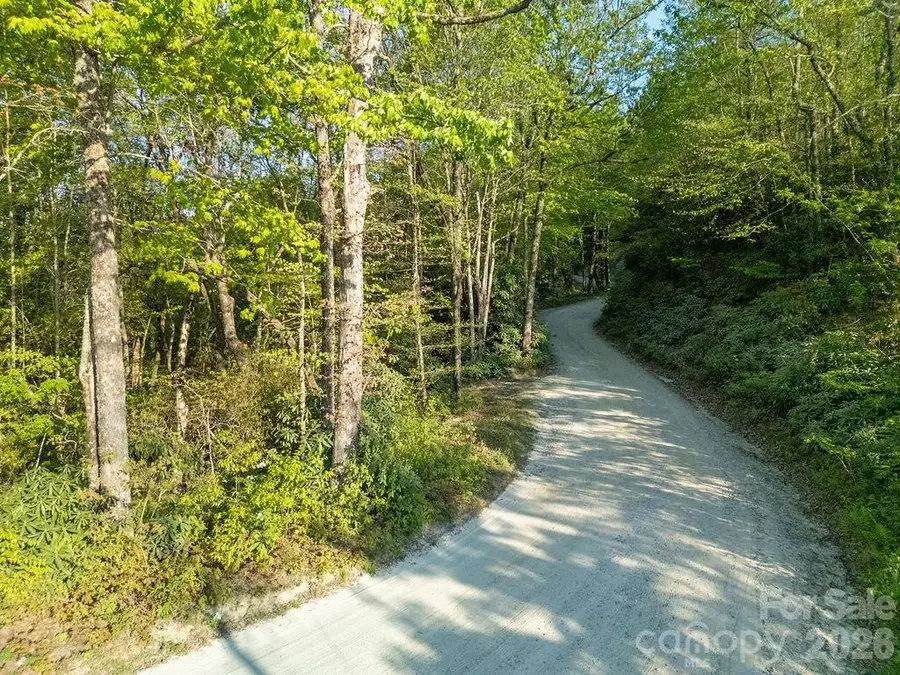 lot 27 Eastatoe Gap Road #27, Rosman, NC 28772 - #3