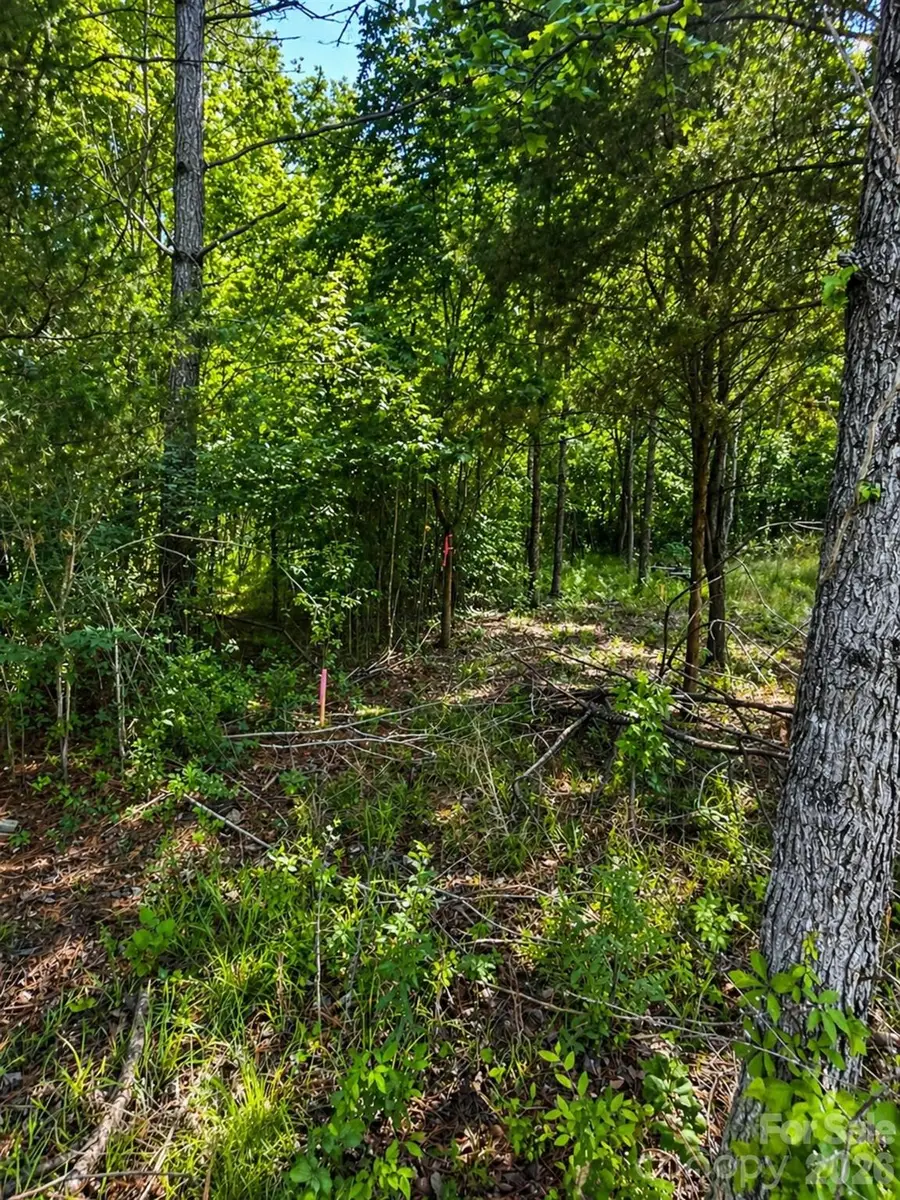 468 Porter Road, Rock Hill, SC 29730 - #3