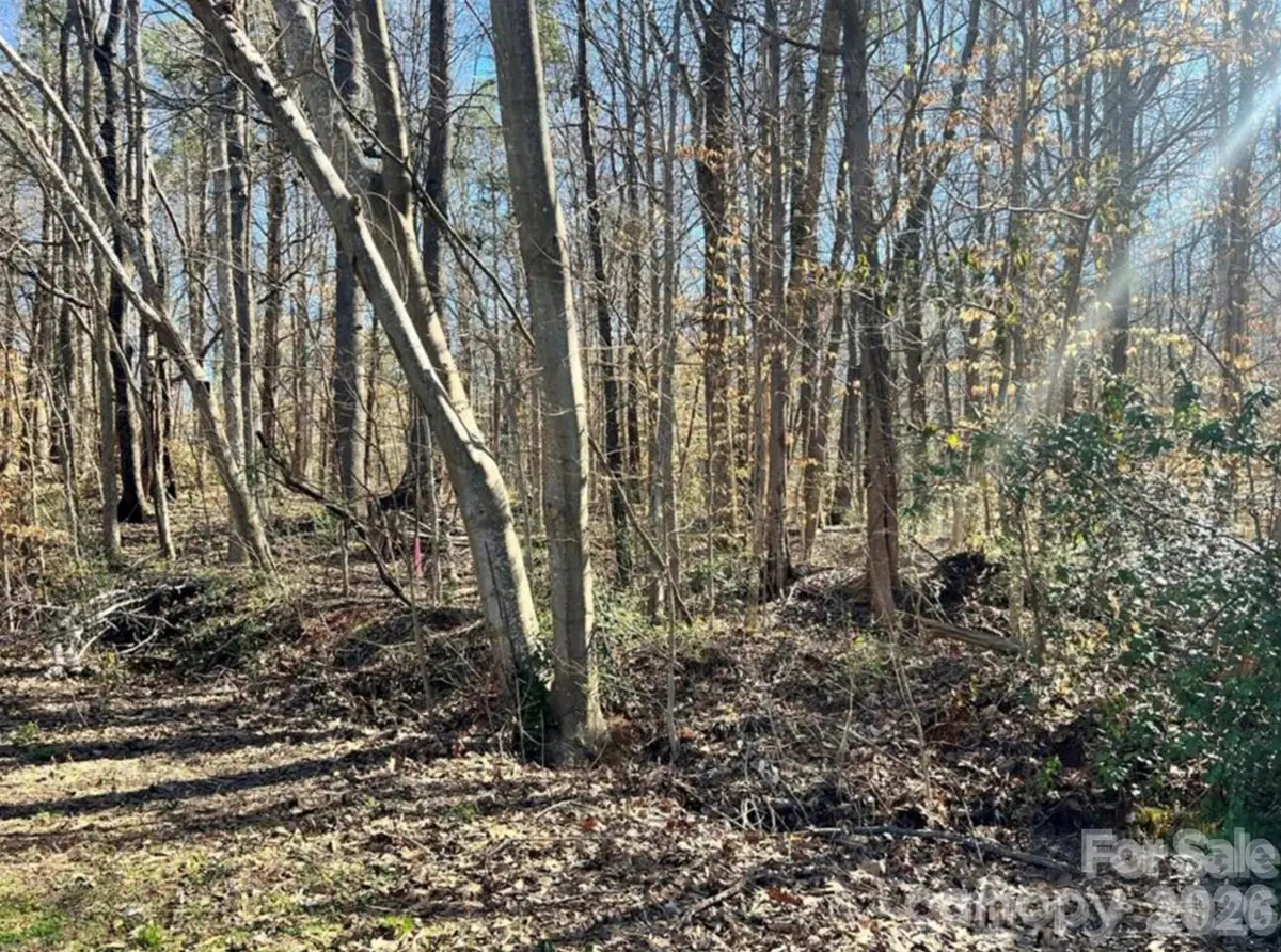 02 Lurecliff Place, Fort Mill, SC 29708 - #1