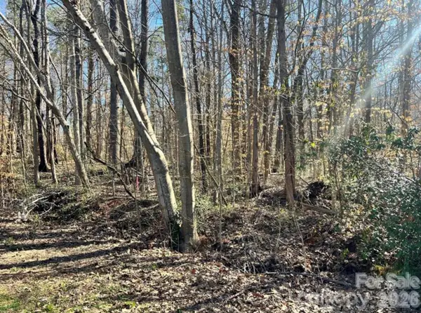 02 Lurecliff Place, Fort Mill, SC 29708