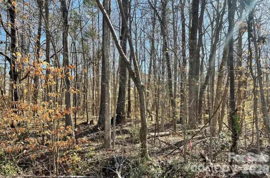 02 Lurecliff Place, Fort Mill, SC 29708 - #2