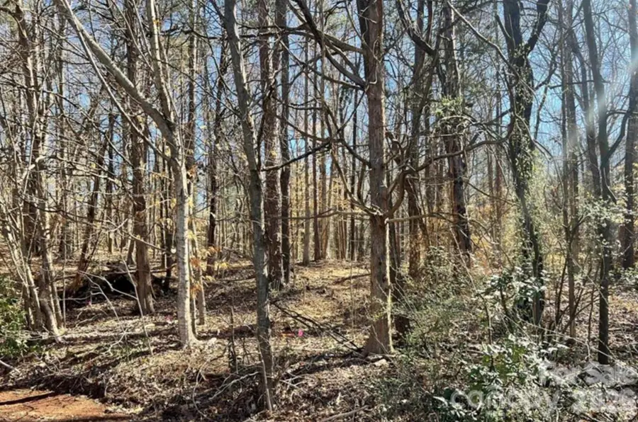 02 Lurecliff Place, Fort Mill, SC 29708 - #3