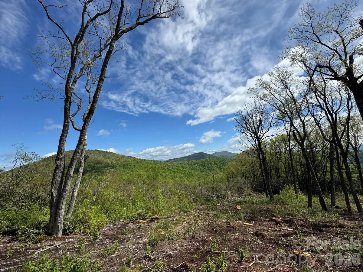 TBD E Garden Trail #45, Hendersonville, NC 28792 - #1