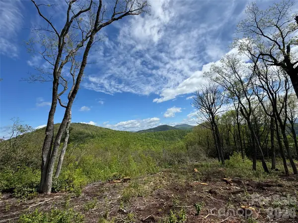 TBD E Garden Trail #45, Hendersonville, NC 28792