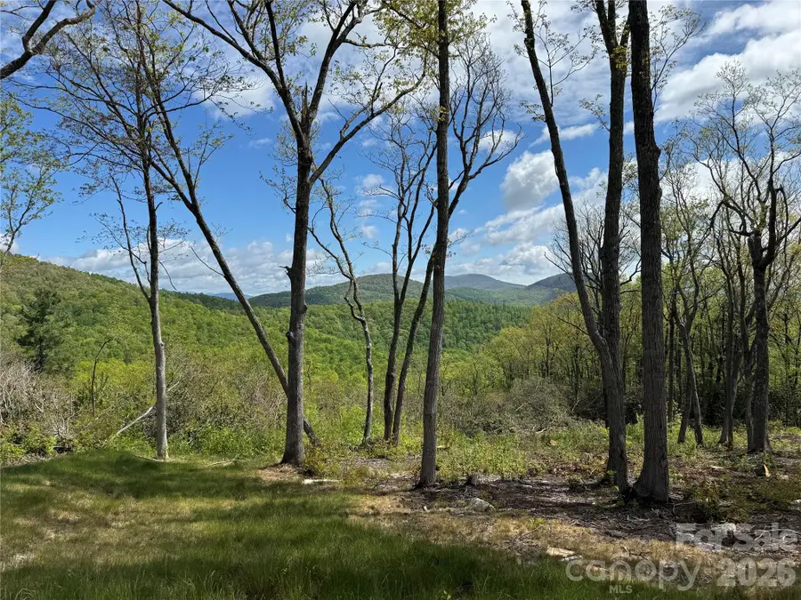 TBD E Garden Trail #45, Hendersonville, NC 28792 - #2