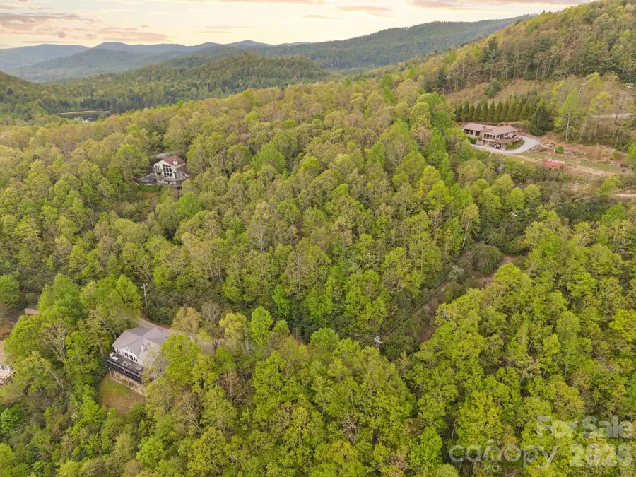 TBD Pinnacle Mountain Road, Zirconia, NC 28790 - #2
