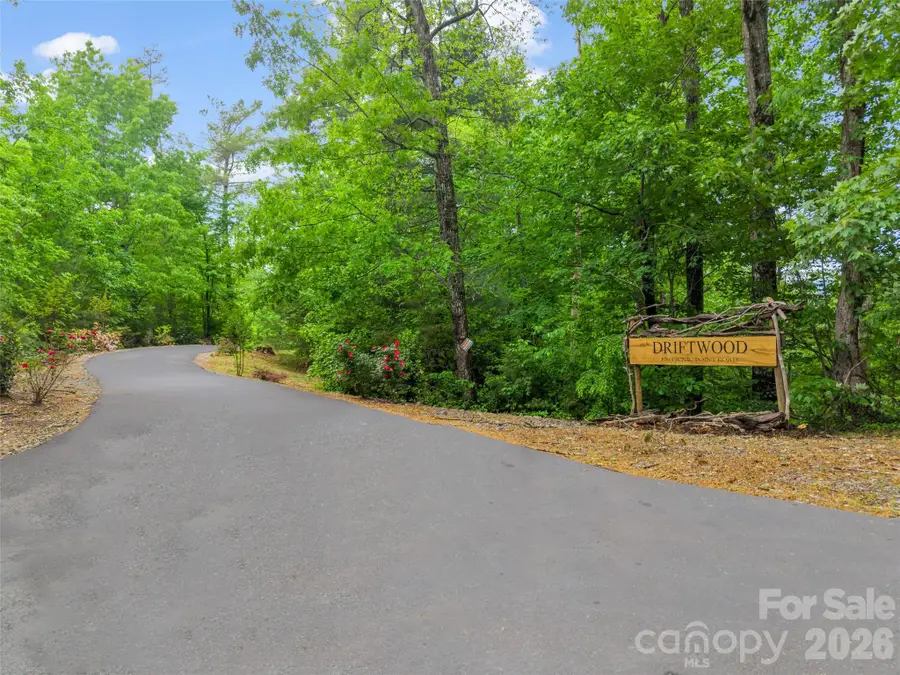 139 Picnic Point Road, Lake Lure, NC 28746 - #3