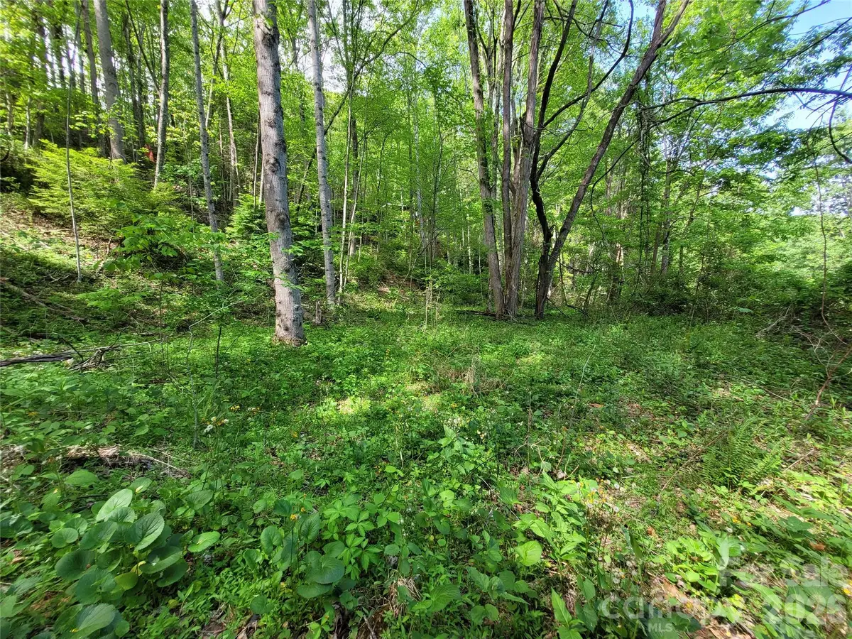 00 Fox Run, Waynesville, NC 28785 - #1
