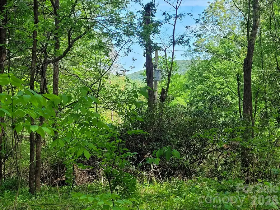 00 Fox Run, Waynesville, NC 28785 - #2