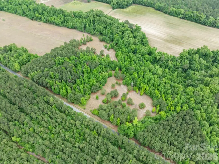 0000 Daniel Chapel Road, McColl, SC 29570 - #3