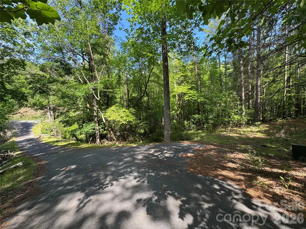 0 Island Creek Road #1, Lake Lure, NC 28746 - #1