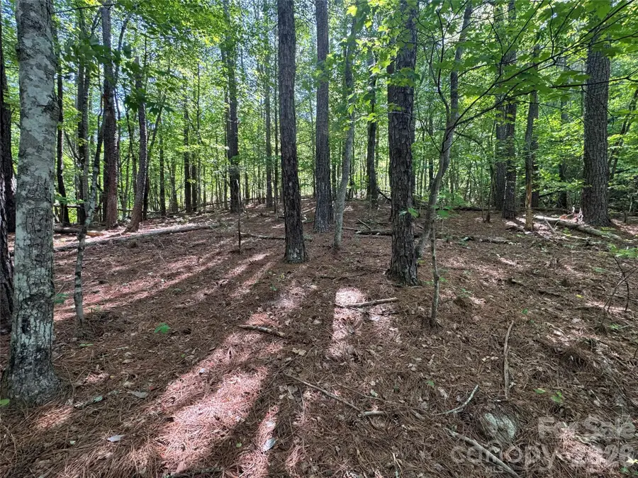 0 Island Creek Road #1, Lake Lure, NC 28746 - #2