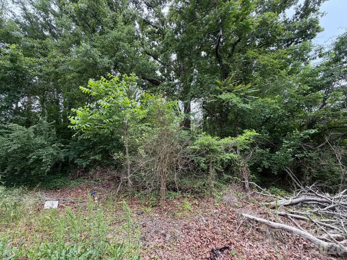 454 Frank Street, Rock Hill, SC 29730 - #1