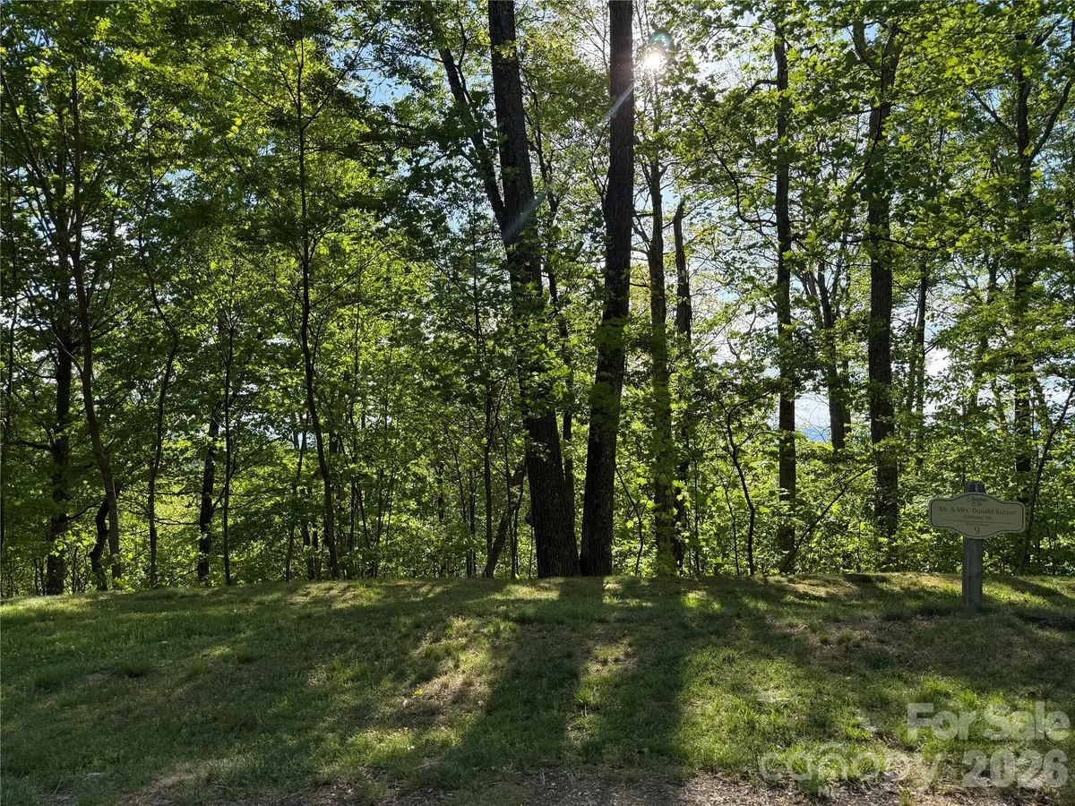 Lot 9 & 10 Andrew Banks Road, Burnsville, NC 28714 - #1