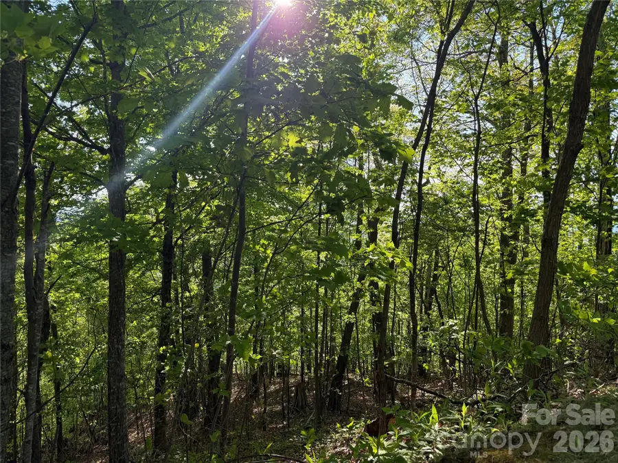 Lot 9 & 10 Andrew Banks Road, Burnsville, NC 28714 - #2