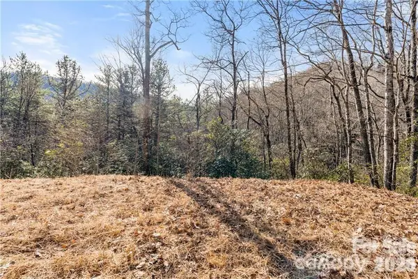 28 Trillium Lane #C-1, Black Mountain, NC 28711