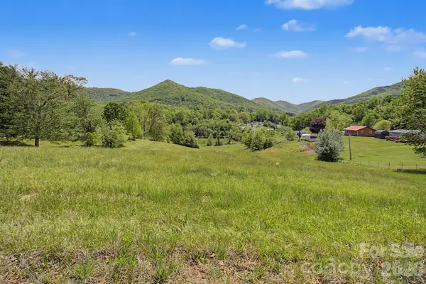 99999 Wise Road, Candler, NC 28715