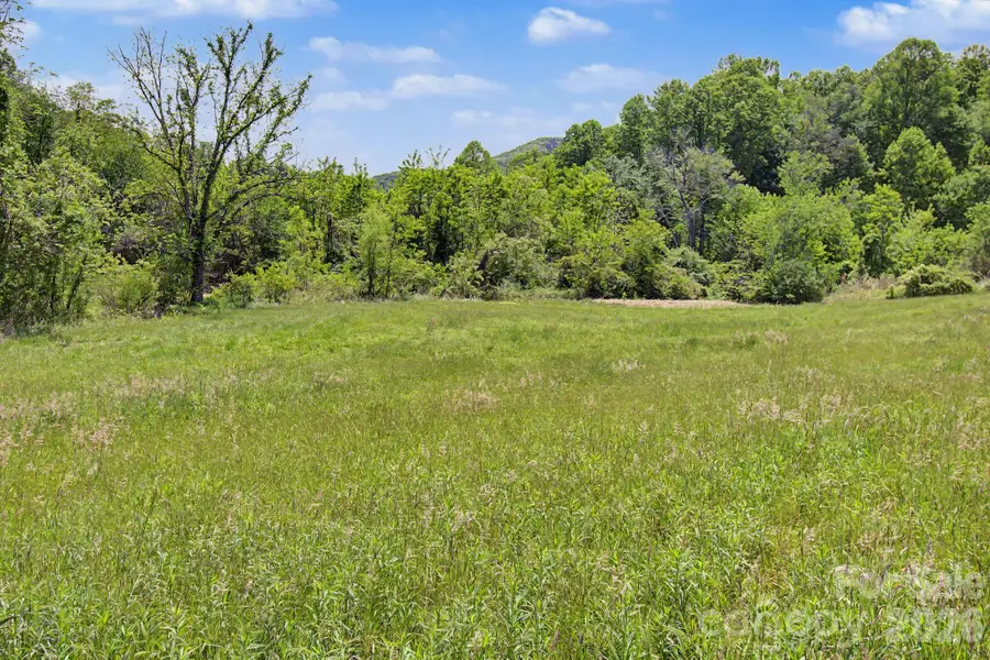 99999 Wise Road, Candler, NC 28715 - #3