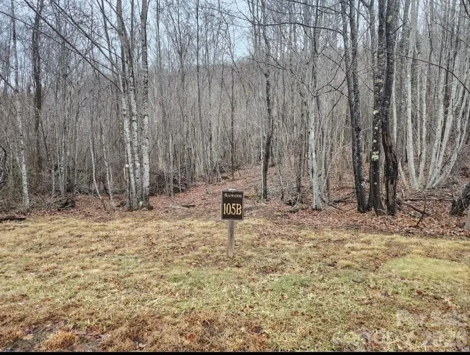 0 Beaver Dam Road, Banner Elk, NC 28604 - #1