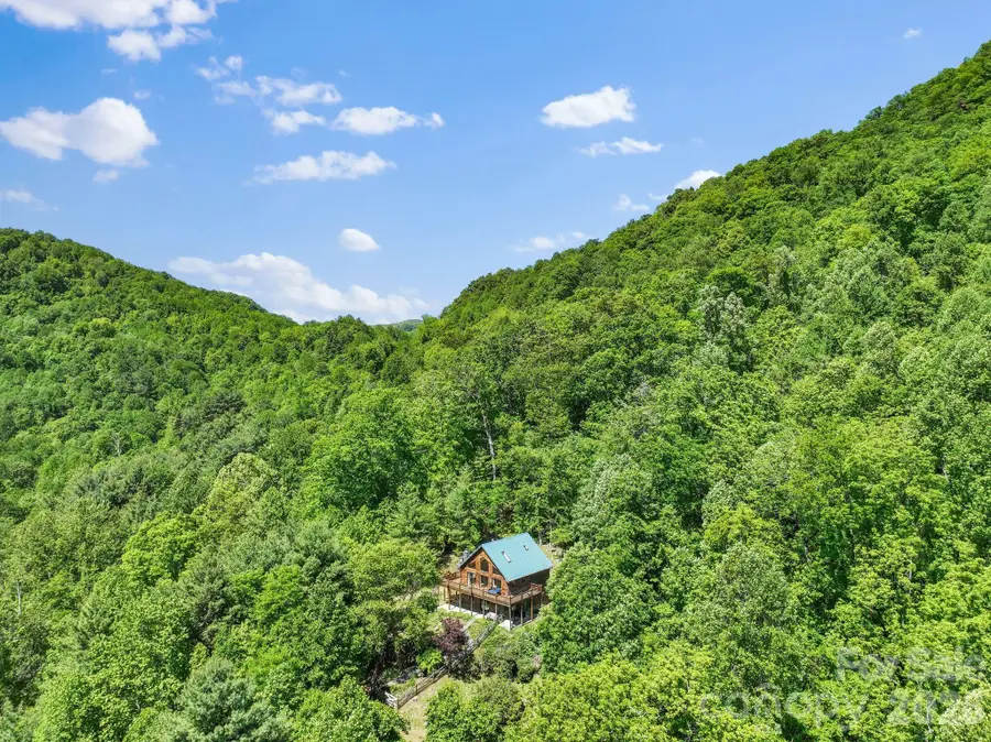1206 Caldwell Mountain Road, Hot Springs, NC 28743 - #2