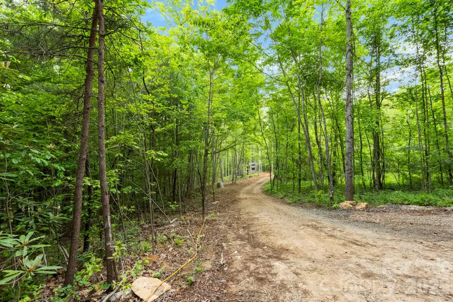 108 High Top Mountain Road #A & B, Leicester, NC 28748 - #2