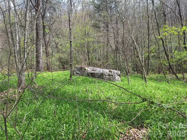 946 Lake Road, Old Fort, NC 28762