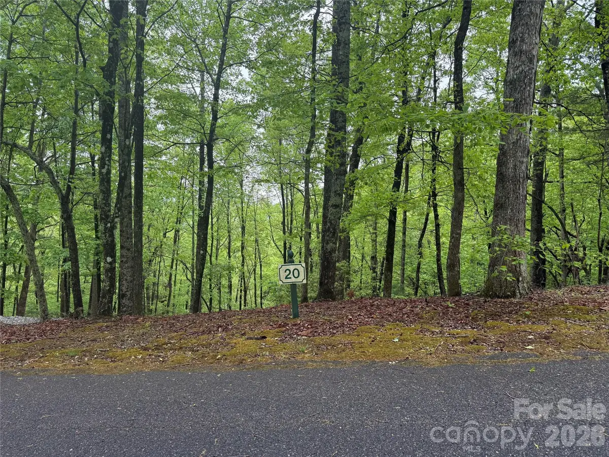 39 Black Bear Ridge Trail #20, Zirconia, NC 28790 - #1