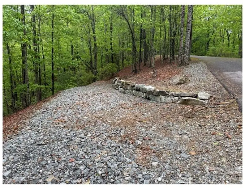 39 Black Bear Ridge Trail #20, Zirconia, NC 28790 - #2