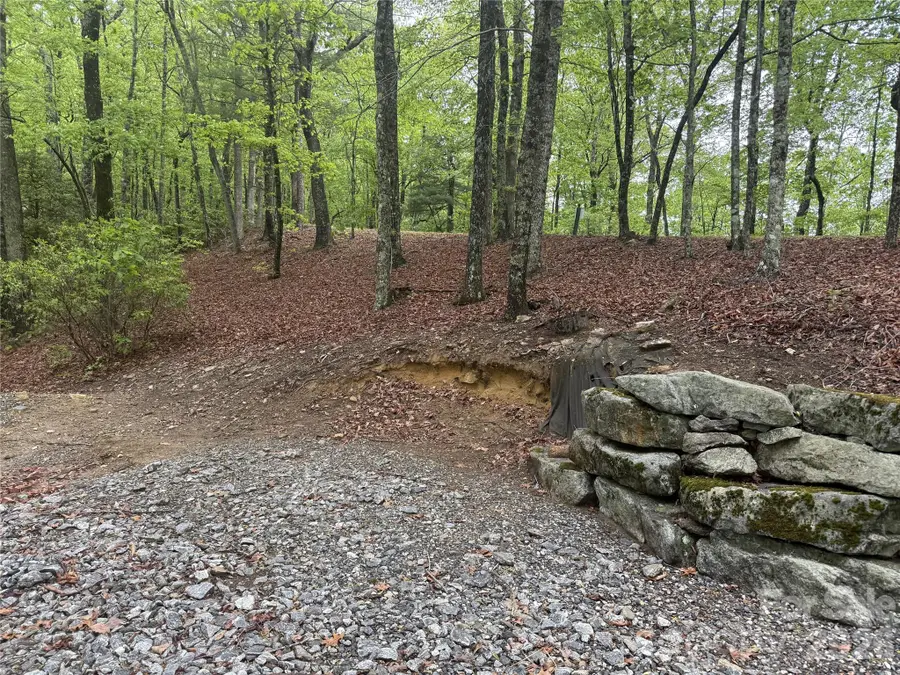 39 Black Bear Ridge Trail #20, Zirconia, NC 28790 - #3
