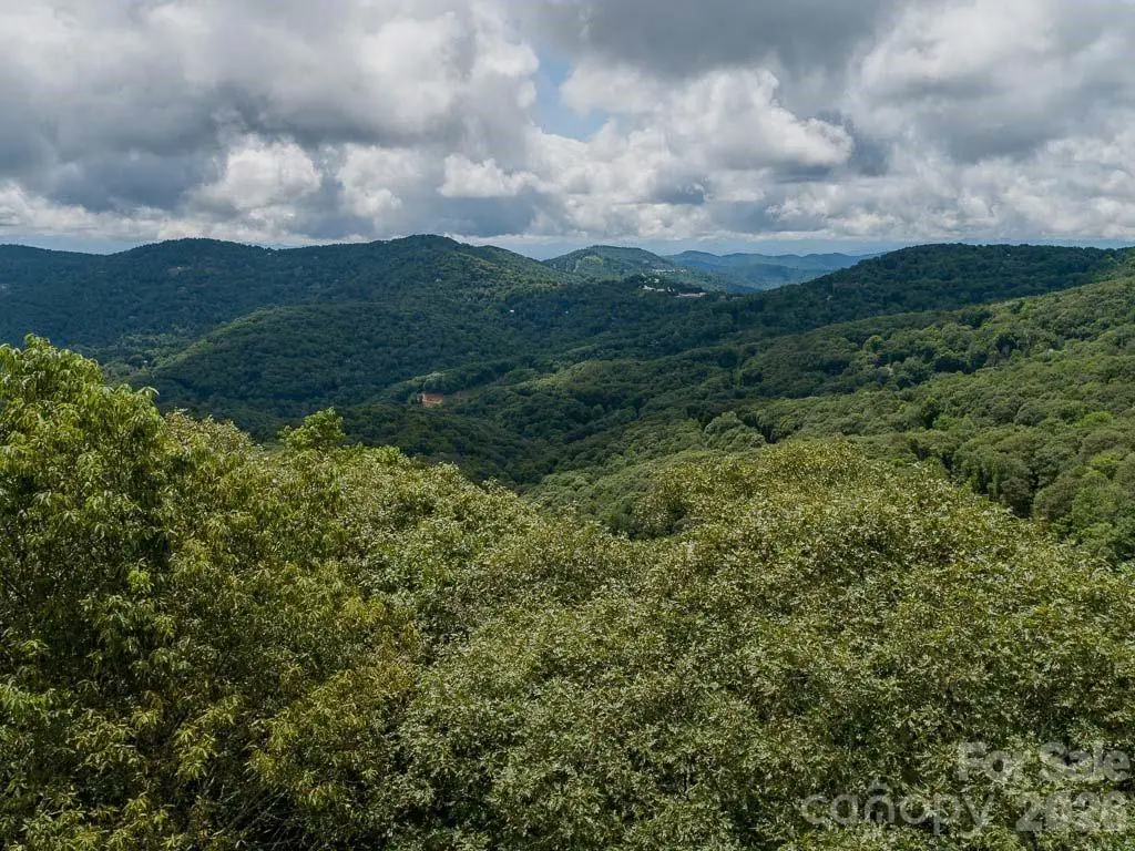 366 Birch Springs Lane #366, Mars Hill, NC 28754 - #1