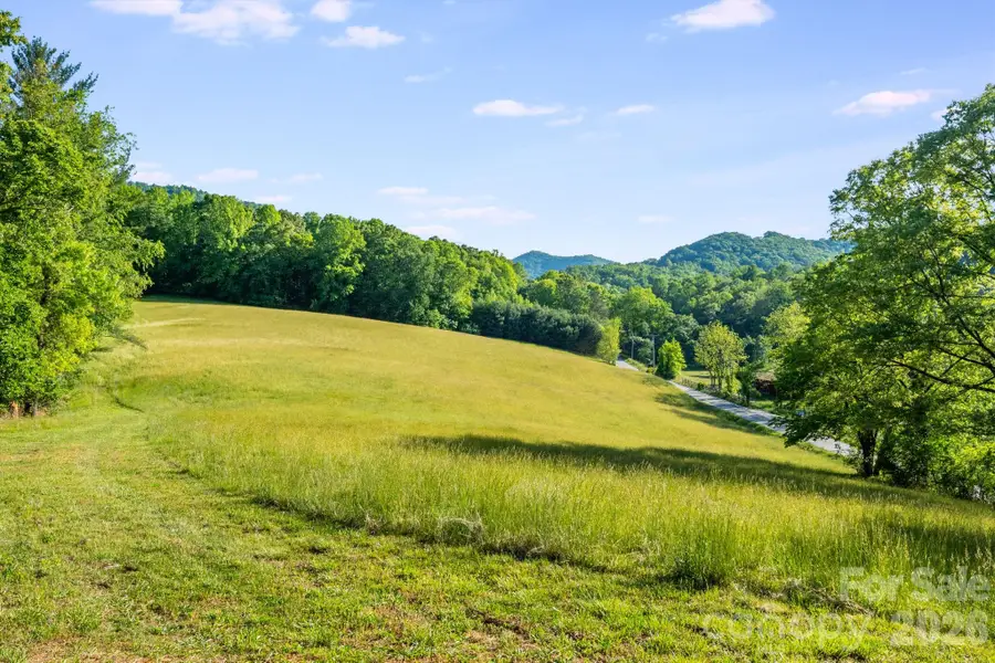435 Upper Glady Fork Road, Candler, NC 28715 - #2