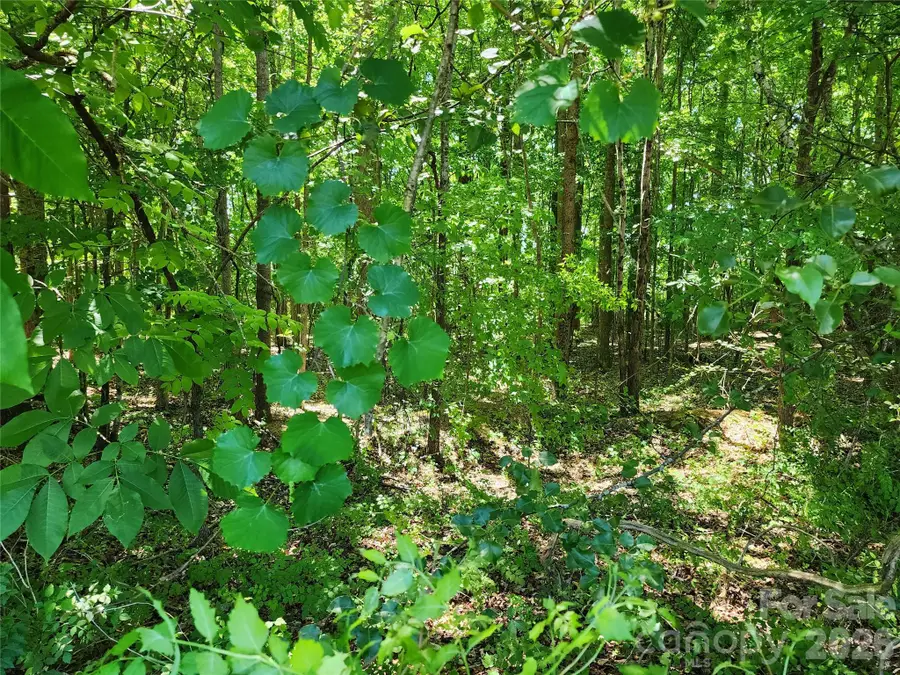 0 Deerbrook Drive #3, Salisbury, NC 28147 - #3