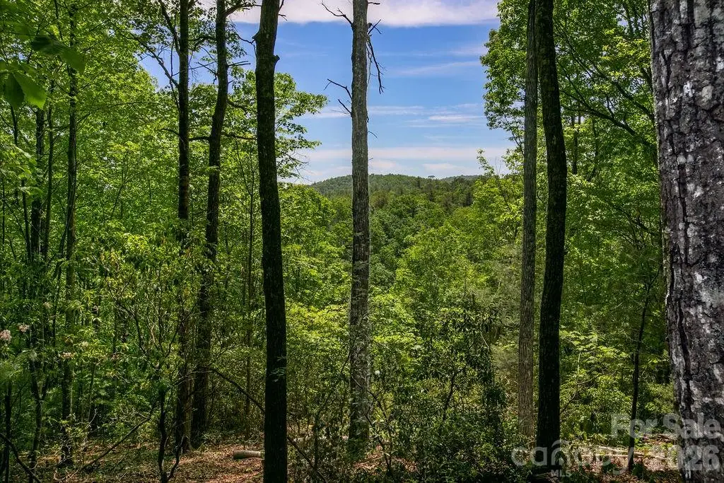 TBD Diamond Creek Road, Lake Toxaway, NC 28747 - #1