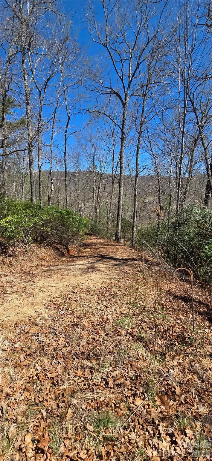 90 Kimiko Lane S #30&31, Balsam Grove, NC 28708 - #1
