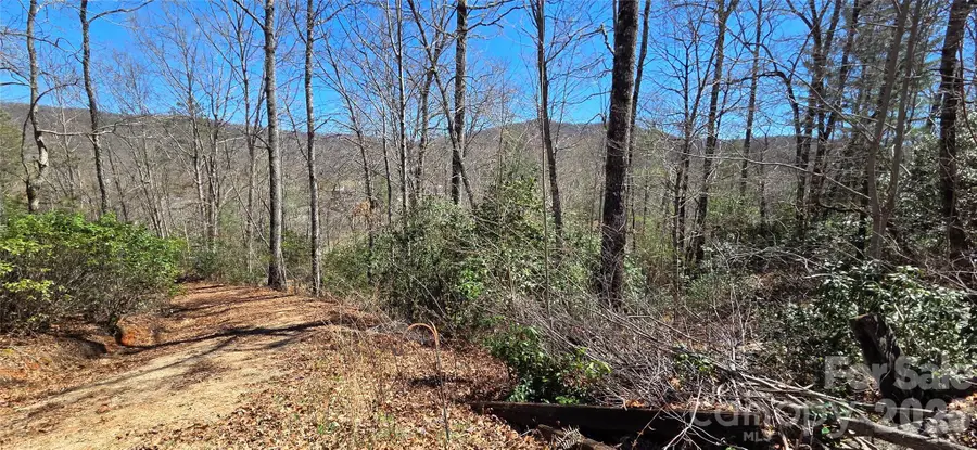 90 Kimiko Lane S #30&31, Balsam Grove, NC 28708 - #2