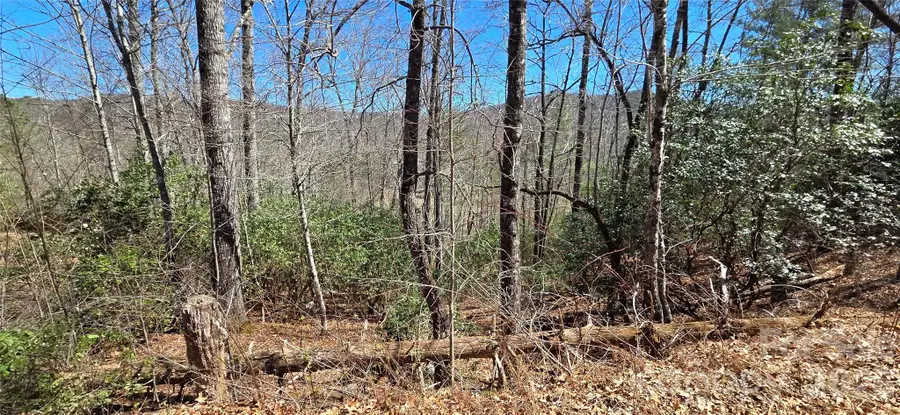 90 Kimiko Lane S #30&31, Balsam Grove, NC 28708 - #3