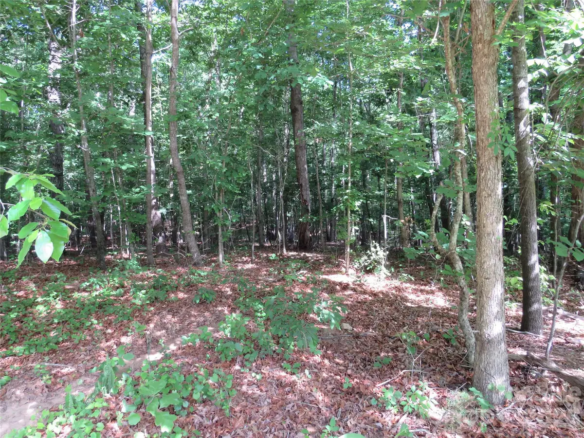 0 S Woodleaf Road, Forest City, NC 28043 - #1
