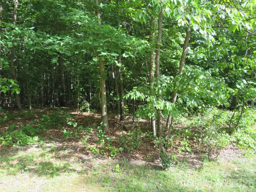 0 S Woodleaf Road, Forest City, NC 28043 - #2